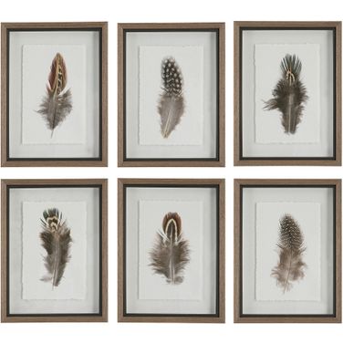 Uttermost Birds Of A Feather Framed Prints Set Of 6