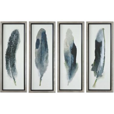 Uttermost Feathered Beauty Prints Set Of 4