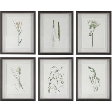 Uttermost Forest Finds Framed Prints Set Of 6