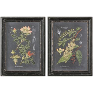 Uttermost Midnight Botanicals Wall Art Set Of 2