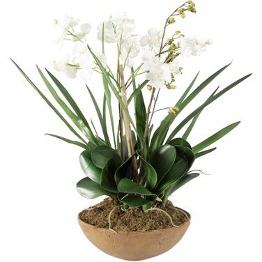 Uttermost Moth Orchid Planter
