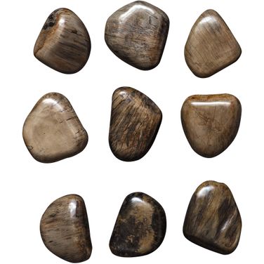 Uttermost Pebbles Walnut Wood Wall Decor Set Of 9