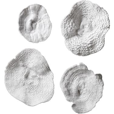 Uttermost Sea Coral Wall Art Set Of 4
