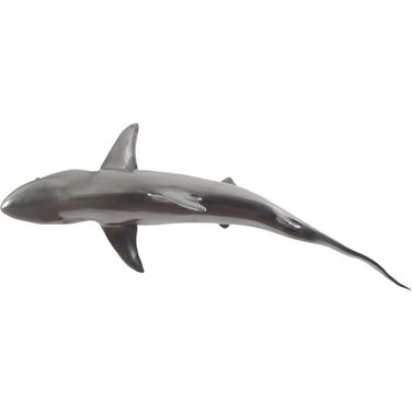 Whaler Shark PH64545