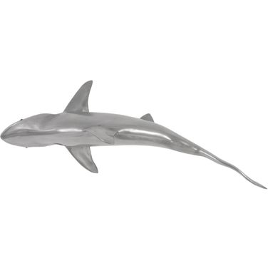 Whaler Shark PH64546
