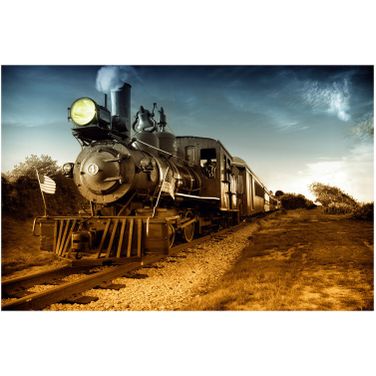 Wild West Wall Art In Multicolor