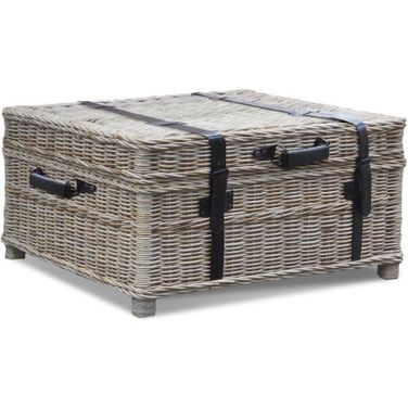Woven Grey Coffee Table Trunk