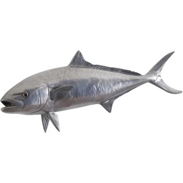 Yellow Tailed King Fish PH64552