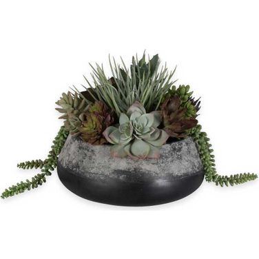 Yuma Succulent Centerpiece In Green