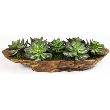 Yuma Succulent Centerpiece In Natural
