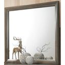 The appearance of Ireland Gray Oak Mirror designed by ACME in the transitional interior design. This gray piece of furniture  was selected by 1StopBedrooms from Ireland Collection to add a touch of cosiness and style into your home. Sku: 22705. Material: Glass.