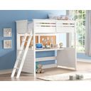 The appearance of Lacey White Twin Loft Bed designed by ACME in the transitional interior design. This white piece of furniture was selected by 1StopBedrooms from Lacey Collection to add a touch of cosiness and style into your home. Sku: 37670HF;37671RL;37672PNL. Material: Wood. Bed Size: Twin. Bed Type: Loft Bed.