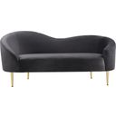 The appearance of Ritz Velvet Loveseat In Grey designed by Meridian in the modern / contemporary interior design. This grey piece of furniture  was selected by 1StopBedrooms from Ritz Collection to add a touch of cosiness and style into your home. Sku: 659Grey-L. Material: Velvet.