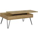 The appearance of Fanning Lift Top Storage Coffee Table Golden Oak and Black designed by Coaster in the industrial interior design. This golden oak piece of furniture  was selected by 1StopBedrooms from Fanning Collection to add a touch of cosiness and style into your home. Sku: 723368. Material: Wood.