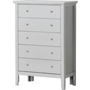 The appearance of Glory Furniture Primo Chest, Champagne designed by Glory in the modern / contemporary interior design. This champagne piece of furniture was selected by 1StopBedrooms from Primo Collection to add a touch of cosiness and style into your home. Sku: G1333-CH-Chest. Material: Wood.