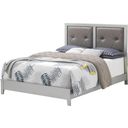 The appearance of Glory Furniture Primo Queen Bed, Champagne designed by Glory in the transitional interior design. This champagne piece of furniture was selected by 1StopBedrooms from Primo Collection to add a touch of cosiness and style into your home. Sku: G1333A-QB Box 1;G1333A-QB Box 3;G1333A-QB Box 2. Bed Type: Panel Bed. Material: Wood. Bed Size: Queen.
