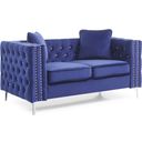 The appearance of Paige Loveseat (Blue) designed by Glory in the transitional interior design. This blue piece of furniture was selected by 1StopBedrooms from Paige Collection to add a touch of cosiness and style into your home. Sku: G829A-L Box 2;G829A-L Box 1. Material: Fabric.