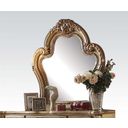 The appearance of Acme Dresden Mirror designed by ACME in the transitional interior design. This gold piece of furniture  was selected by 1StopBedrooms from Dresden Collection to add a touch of cosiness and style into your home. Sku: 23164. Material: Glass.