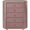 The appearance of Acme Salonia Chest In Pink Velvet designed by ACME in the modern / contemporary interior design. This pink velvet piece of furniture  was selected by 1StopBedrooms from Salonia Collection to add a touch of cosiness and style into your home. Sku: BD01187. Material: Wood.
