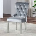 Adalia Wingback Chair Set of 2 In Silver and Gray