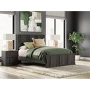 Agrander Queen Panel Platform Bed In Dark Brown