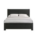 Ardmore Bend Queen Panel Bed In Black