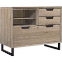 The appearance of Aspenhome Harper Point Combo File In Graphite Ihp 378 designed by Aspenhome in the modern / contemporary interior design. This graphite piece of furniture was selected by 1StopBedrooms from Harper Point Collection to add a touch of cosiness and style into your home. Sku: IHP-378-KHA. Material: Metal.