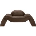 The appearance of Austin Velvet Chair In Brown Velvet designed by Meridian in the modern / contemporary interior design. This brown velvet piece of furniture was selected by 1StopBedrooms from Austin Collection to add a touch of cosiness and style into your home. Sku: 44008Brown-C. Material: Velvet.