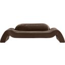 The appearance of Austin Velvet Sofa In Brown Velvet designed by Meridian in the modern / contemporary interior design. This brown velvet piece of furniture was selected by 1StopBedrooms from Austin Collection to add a touch of cosiness and style into your home. Sku: 44008Brown-S. Material: Velvet.
