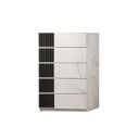 Bianca Chest In White and Grey
