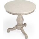 The appearance of Butler Danielle Marble Accent Table 5515329 designed by Butler Specialty Company in the transitional interior design. This grey piece of furniture was selected by 1StopBedrooms from Masterpiece Collection to add a touch of cosiness and style into your home. Sku: 5515329. Material: Marble.