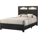 Cadence Queen Bed In Black