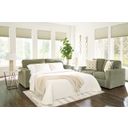 Camparia Queen Sofa Sleeper In Moss