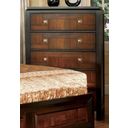 The appearance of Patra Acacia and Walnut Chest designed by Furniture of America in the transitional interior design. This walnut piece of furniture was selected by 1StopBedrooms from Patra Collection to add a touch of cosiness and style into your home. Sku: CM7152C. Material: Wood.