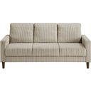 The appearance of Crandall Sofa In Taupe designed by Homelegance in the modern / contemporary interior design. This taupe piece of furniture was selected by 1StopBedrooms from Crandall Collection to add a touch of cosiness and style into your home. Sku: 9520TPE-3. Material: Corduroy.