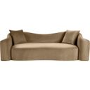 The appearance of Destin Velvet Sofa In Beige Velvet designed by Meridian in the modern / contemporary interior design. This beige velvet piece of furniture  was selected by 1StopBedrooms from Destin Collection to add a touch of cosiness and style into your home. Sku: 44052Beige-S. Material: Velvet.