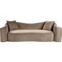 The appearance of Destin Velvet Sofa In Taupe designed by Meridian in the modern / contemporary interior design. This taupe piece of furniture  was selected by 1StopBedrooms from Destin Collection to add a touch of cosiness and style into your home. Sku: 44052Taupe-S. Material: Velvet.