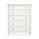 Echo Isles Drawer Chest In Sea Pearl and Driftwood