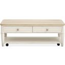 Echo Isles Lift Top Storage Cocktail Table With Casters In Sea Pearl and Driftwood