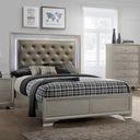 The appearance of Crown Mark Lyssa Twin Upholstered Panel Bed in Embossed Crocodile Pattern designed by Crown Mark in the modern / contemporary interior design. This other colors piece of furniture  was selected by 1StopBedrooms from Lyssa Collection to add a touch of cosiness and style into your home. Sku: B4300-T-HBFB;B4300-FT-RAIL. Bed Type: Panel Bed. Material: Upholstered. Bed Size: Twin.