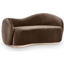 The appearance of Gustavo 72.5 Inch Velvet Upholstered Loveseat In Brown and Natural designed by Meridian in the modern / contemporary interior design. This brown and natural piece of furniture was selected by 1StopBedrooms from Gustavo Collection to add a touch of cosiness and style into your home. Sku: 44081Brown-L. Material: Velvet.