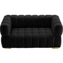 The appearance of Gwen Velvet Loveseat In Black designed by Meridian in the modern / contemporary interior design. This black piece of furniture was selected by 1StopBedrooms from Gwen Collection to add a touch of cosiness and style into your home. Sku: 670Black-L. Material: Velvet.
