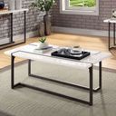 The appearance of Izar Coffee Table In White and Gun Metal designed by Furniture of America in the modern / contemporary interior design. This white and gun metal piece of furniture  was selected by 1StopBedrooms from Izar Collection to add a touch of cosiness and style into your home. Sku: FOA4799C-1;FOA4799C-2. Material: Metal.