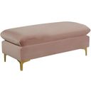 The appearance of Naomi Velvet Ottoman In Pink designed by Meridian in the modern / contemporary interior design. This pink piece of furniture  was selected by 1StopBedrooms from Naomi Collection to add a touch of cosiness and style into your home. Sku: 636Pink-Ott. Material: Velvet.