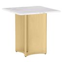 Rosauria Marble Square End Table in White and Gold