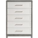 The appearance of Rowan Chest In Gray and Ivory designed by Homelegance in the modern / contemporary interior design. This gray and ivory piece of furniture was selected by 1StopBedrooms from Rowan Collection to add a touch of cosiness and style into your home. Sku: 1366-9. Material: Veneer.