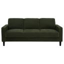 The appearance of Ruth 77-Inch Fabric Upholstered Track Arm Sofa In Matcha Green designed by Coaster in the transitional interior design. This matcha green piece of furniture was selected by 1StopBedrooms from Ruth Collection to add a touch of cosiness and style into your home. Sku: 511214. Material: Plastic.