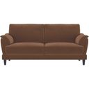 The appearance of Selma Velvet Upholstered Crescent Arm Sofa In Rust designed by Coaster in the transitional interior design. This rust piece of furniture  was selected by 1StopBedrooms from Selma Collection to add a touch of cosiness and style into your home. Sku: 552101. Material: Fabric.
