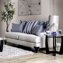The appearance of Sisseton Light Gray Loveseat designed by Furniture of America in the transitional interior design. This gray piece of furniture was selected by 1StopBedrooms from Sisseton Collection to add a touch of cosiness and style into your home. Sku: SM2207-LV. Material: Chenille.