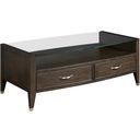 The appearance of Tesha Rectangular Drawer Coffee Table In Velvet designed by Hammary in the transitional interior design. This velvet piece of furniture  was selected by 1StopBedrooms from Tesha Collection to add a touch of cosiness and style into your home. Sku: 375-911. Material: Wood.